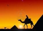 EPIFANIA Tour MAROCCO Il Sud e le Kasbah sulle rotte dei cammellieri dal 02 al 07 Gennaio 2014 € 990