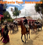 Epifania 2023 Tour Andalusia da Cagliari viaggio di 8 Giorni dal 3 al 10 Gennaio 2023 da 1050 €