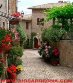 Ponte del 2 Giugno in Toscana e le Cinque Terre Viaggio di Gruppo volo diretto da Cagliari dal 31 Maggio al 3 Giugno 2023 da 760 &euro;